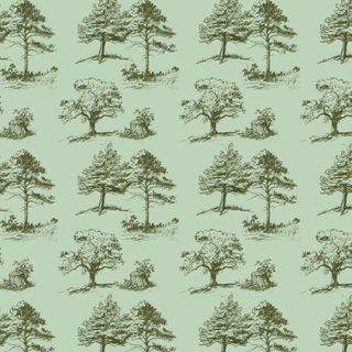 WOODLAND DREAMS