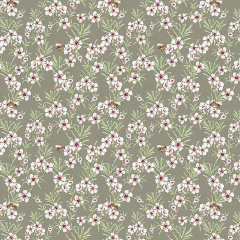 BIRDS & BLOOMS