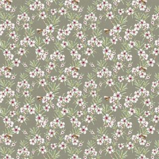 BIRDS & BLOOMS