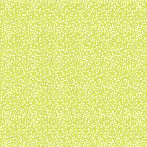 BERY LIME