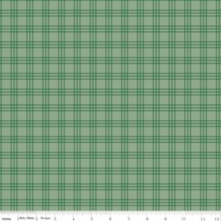 WINNIE-THE-POOH CHRISTMAS PLAID GREEN
