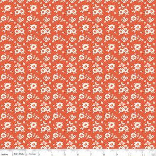 BAYROSE COTTAGE WILD FLOWERS ORANGE