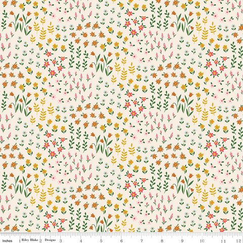 HELLO RILEY VOLUME 1 MEADOW CREAM