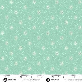 SNOWBERRY