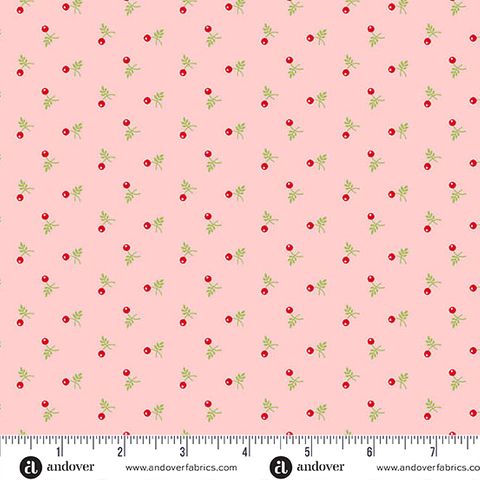 SNOWBERRY