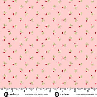 SNOWBERRY