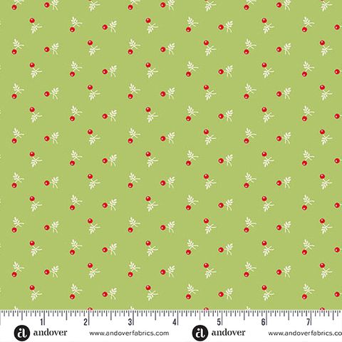 SNOWBERRY
