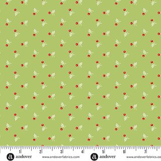 SNOWBERRY