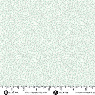 SNOWBERRY