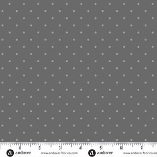 SIMPLY SPOT
