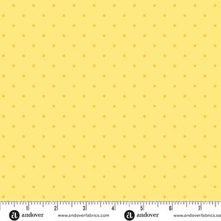 SIMPLY SPOT
