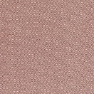 PETRA PRINS DOT BURGUNDY