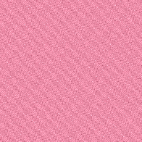 PETRA PRINS DOT CAMELIA