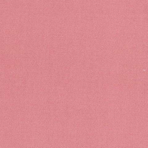 PETRA PRINS DOT CAMELIA