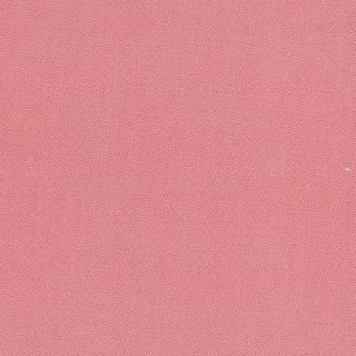 PETRA PRINS DOT CAMELIA