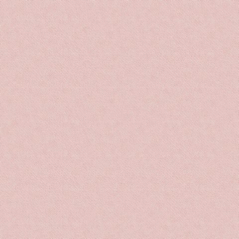 PETRA PRINS DOT CORAL