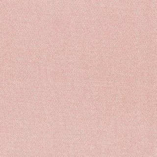 PETRA PRINS DOT CORAL