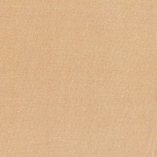 PETRA PRINS DOT AMBER