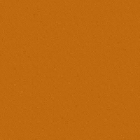 PETRA PRINS DOT GINGER