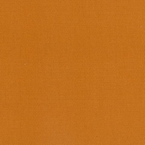 PETRA PRINS DOT GINGER