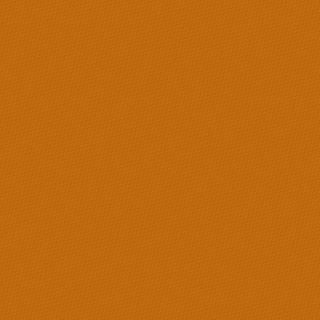 PETRA PRINS DOT GINGER