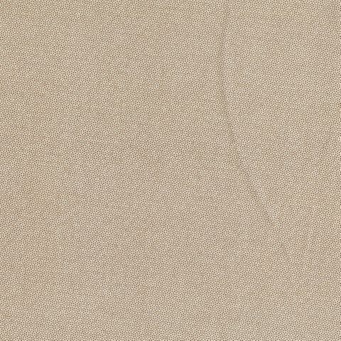 PETRA PRINS DOT BISCUIT