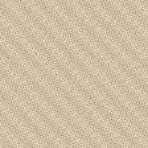 PETRA PRINS DOT BISCUIT