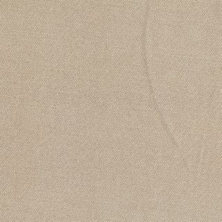 PETRA PRINS DOT BISCUIT