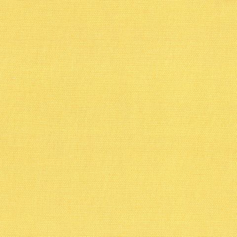 PETRA PRINS DOT DAFFODIL