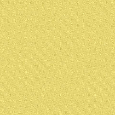 PETRA PRINS DOT DAFFODIL