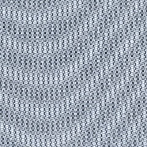 PETRA PRINS DOT DELFT