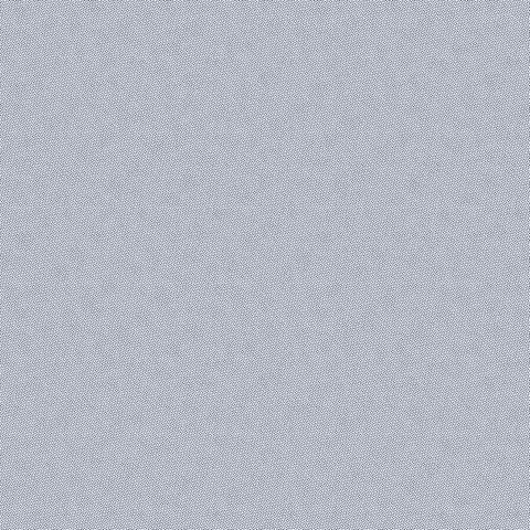 PETRA PRINS DOT DELFT