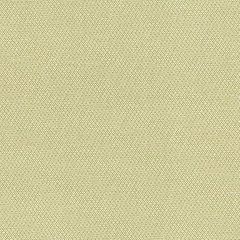 PETRA PRINS DOT GREENTEA