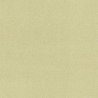 PETRA PRINS DOT GREENTEA