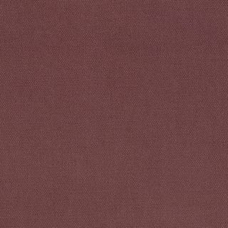 PETRA PRINS DOT MAHOGANY