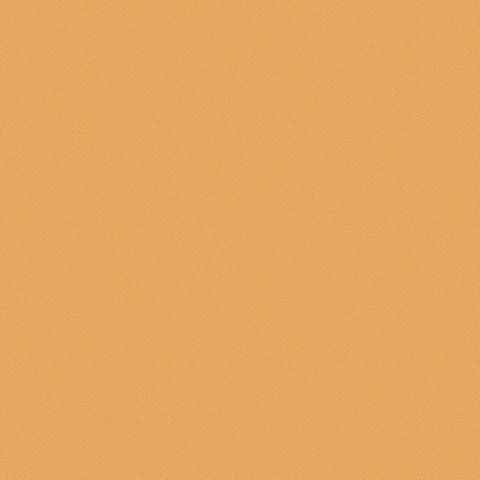 PETRA PRINS DOT ORANGE