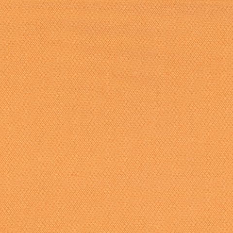 PETRA PRINS DOT ORANGE