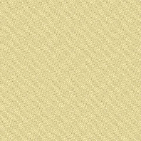 PETRA PRINS DOT HONEY