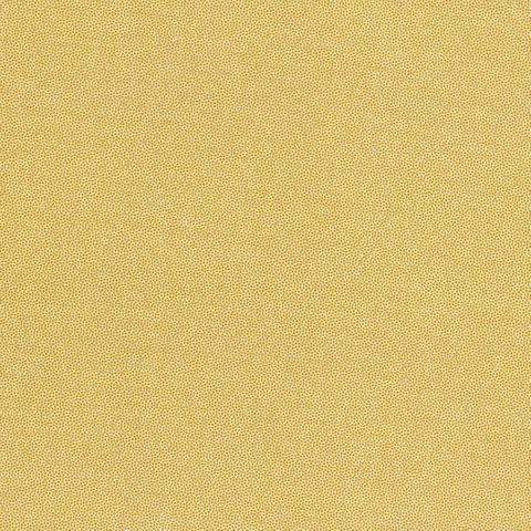 PETRA PRINS DOT HONEY