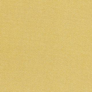 PETRA PRINS DOT HONEY