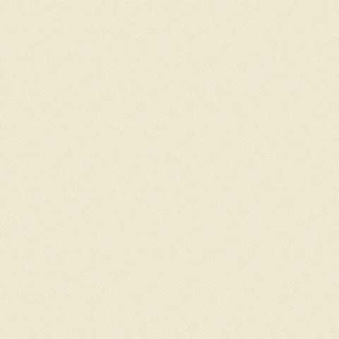 PETRA PRINS DOT IVORY