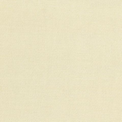 PETRA PRINS DOT IVORY