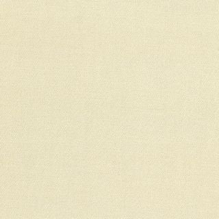 PETRA PRINS DOT IVORY