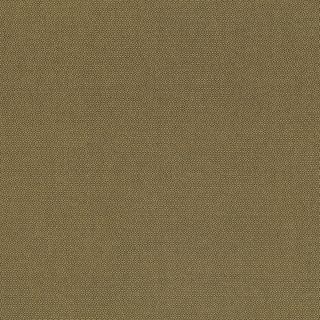 PETRA PRINS DOT MUSTARD