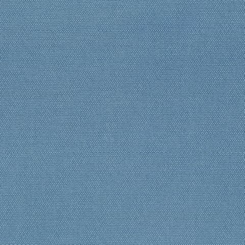 PETRA PRINS DOT OCEAN