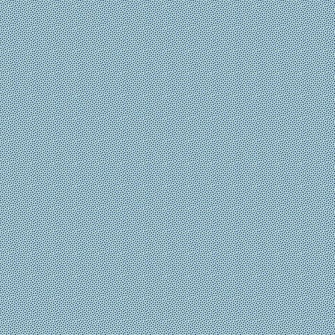 PETRA PRINS DOT OCEAN