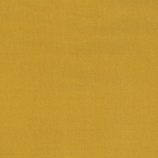 PETRA PRINS DOT OCHRE