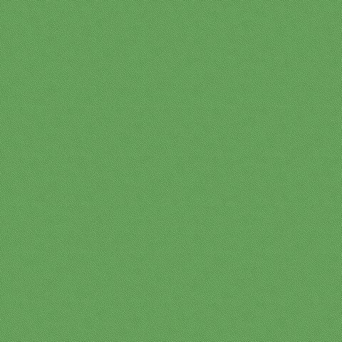 PETRA PRINS DOT HOLLY