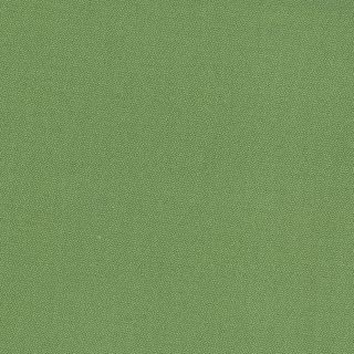 PETRA PRINS DOT HOLLY