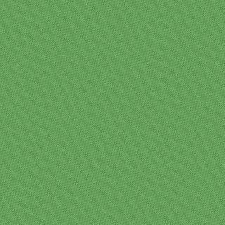 PETRA PRINS DOT HOLLY